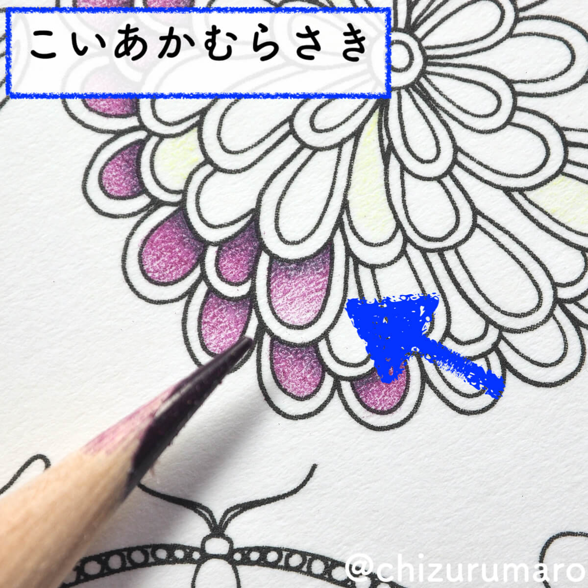 f:id:chizurumaro:20200422152628j:plain f:id:chizurumaro:20200422152628j:plain