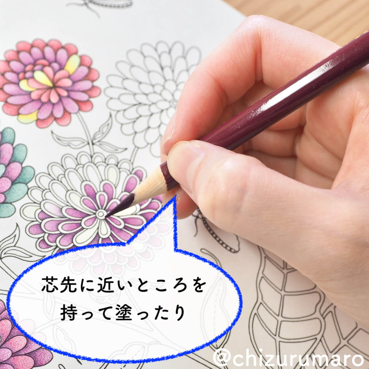 f:id:chizurumaro:20200422152925j:plain f:id:chizurumaro:20200422152925j:plain