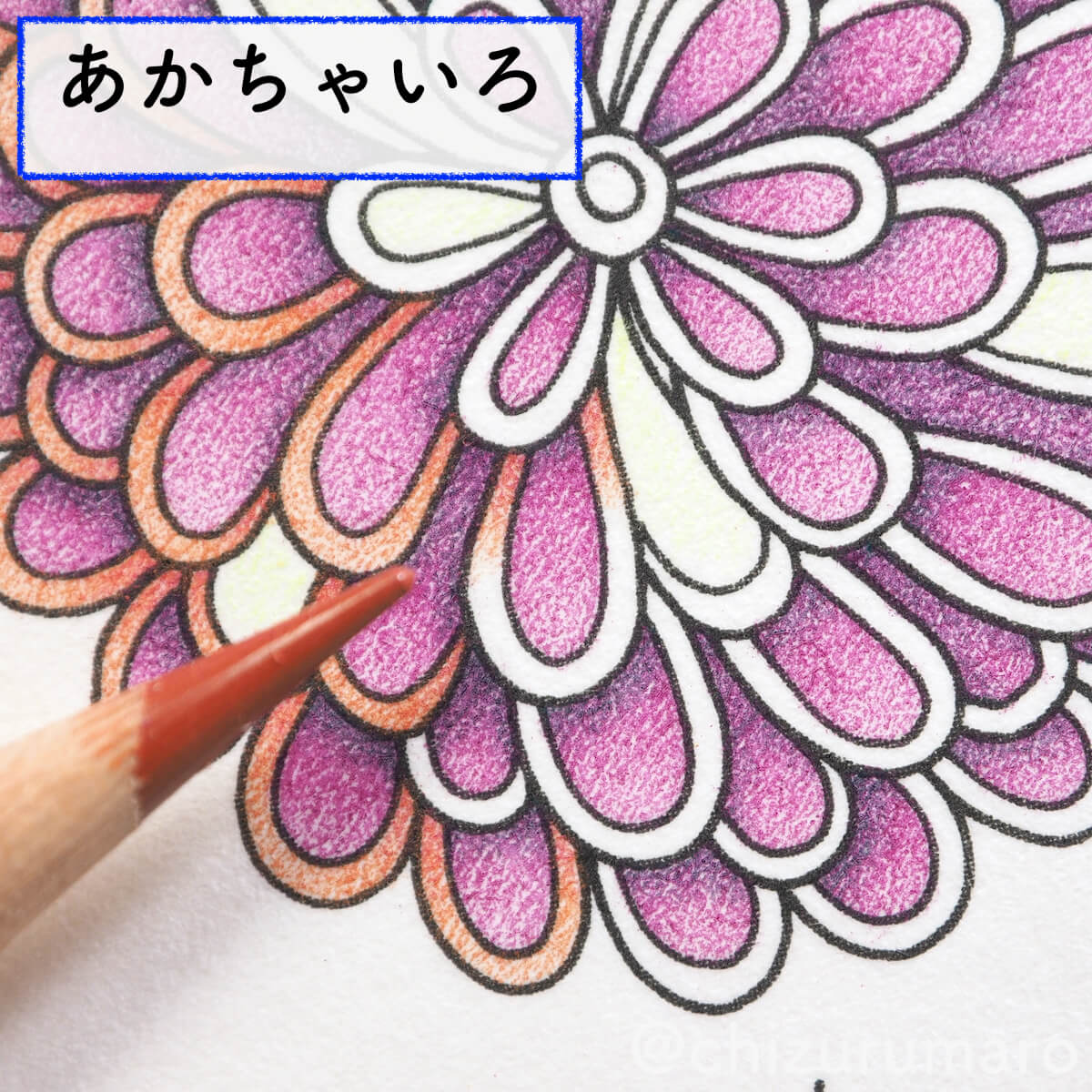 f:id:chizurumaro:20200422153028j:plain f:id:chizurumaro:20200422153028j:plain