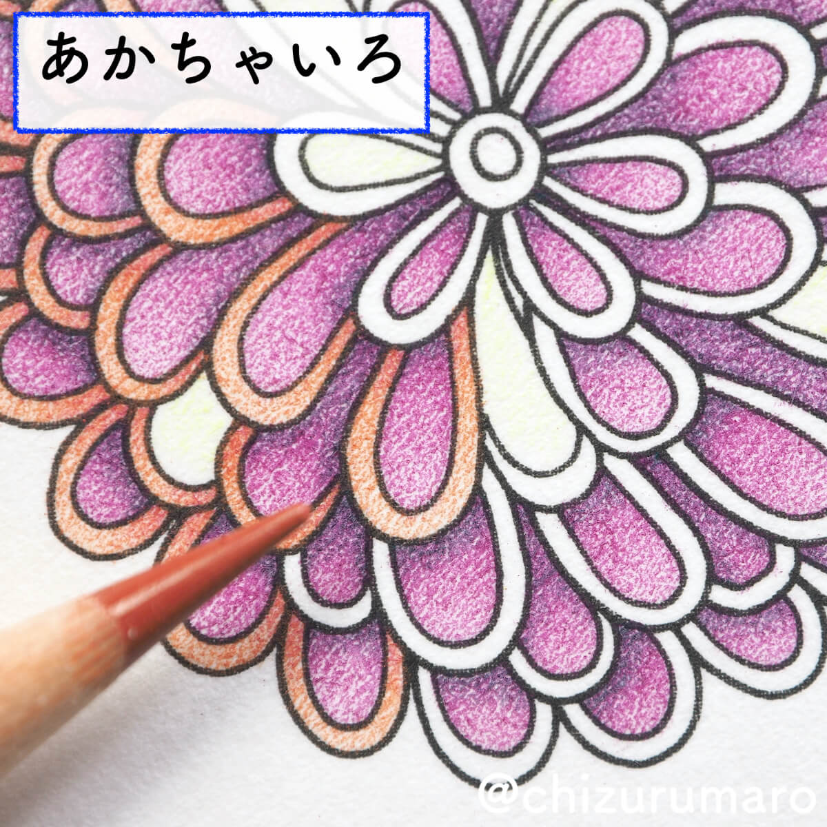 f:id:chizurumaro:20200422153043j:plain f:id:chizurumaro:20200422153043j:plain