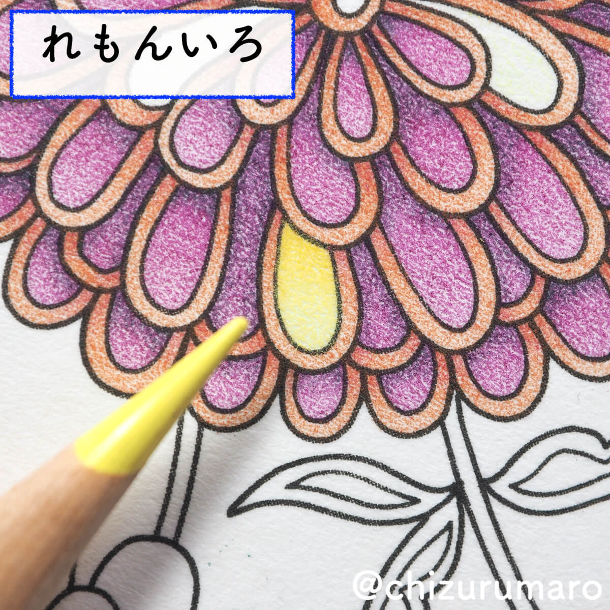 f:id:chizurumaro:20200422153149j:plain f:id:chizurumaro:20200422153149j:plain