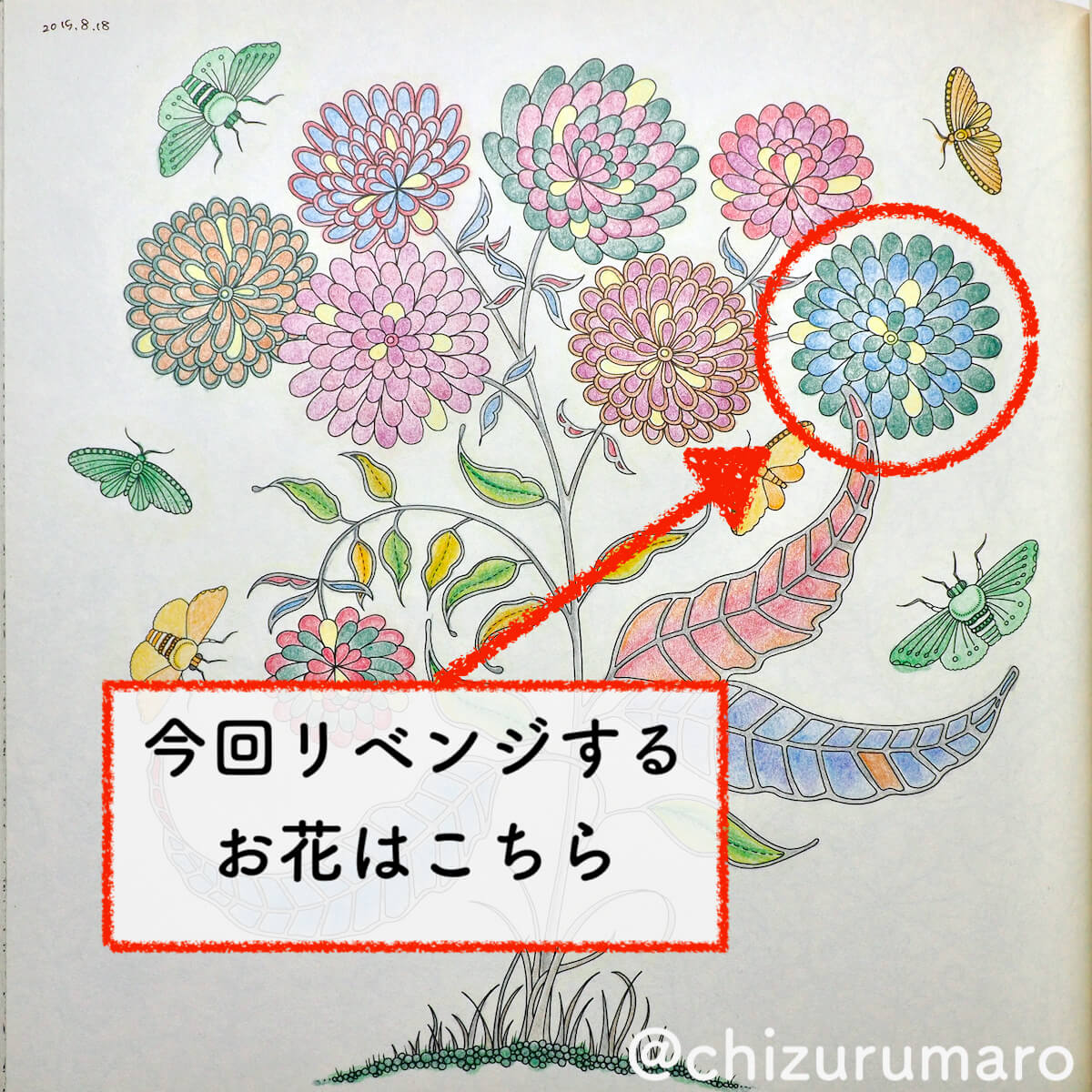f:id:chizurumaro:20200430150152j:plain f:id:chizurumaro:20200430150152j:plain