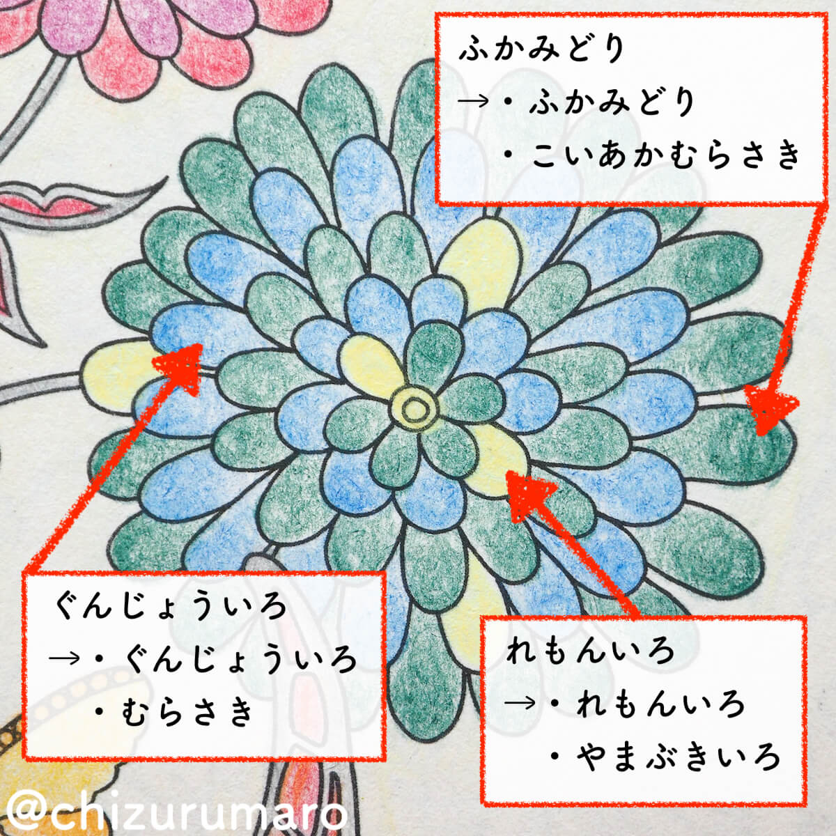 f:id:chizurumaro:20200430150311j:plain f:id:chizurumaro:20200430150311j:plain