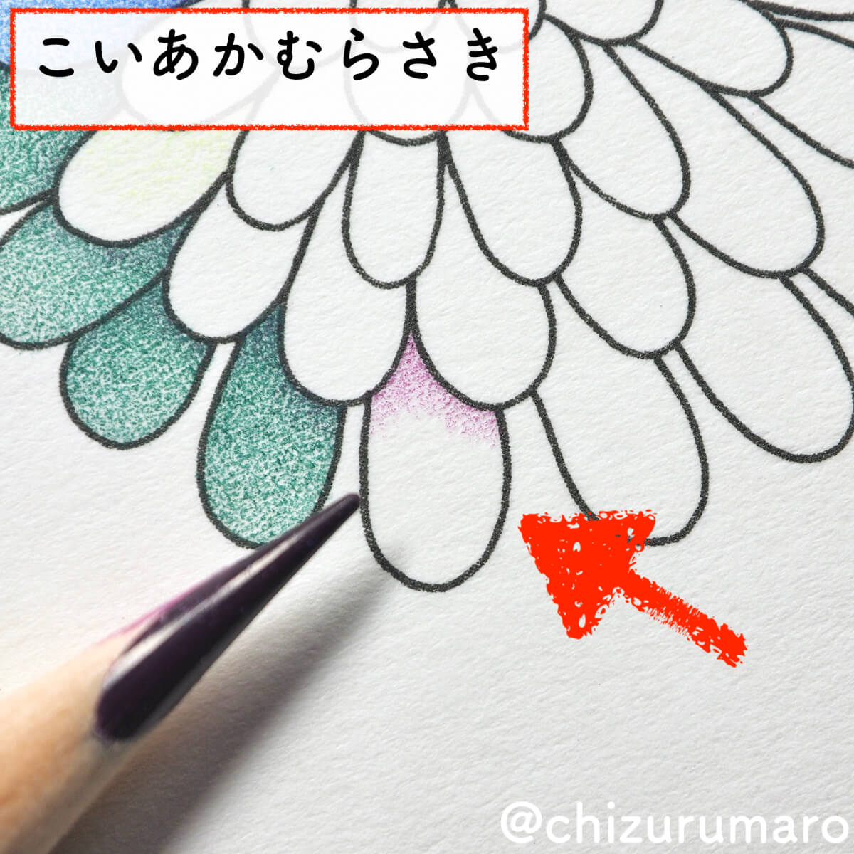 f:id:chizurumaro:20200430150424j:plain f:id:chizurumaro:20200430150424j:plain