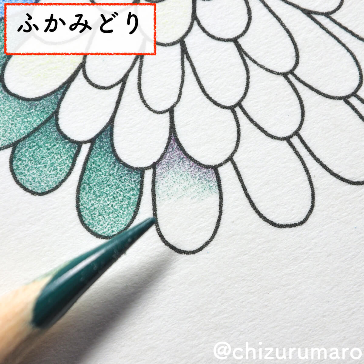 f:id:chizurumaro:20200430150444j:plain f:id:chizurumaro:20200430150444j:plain
