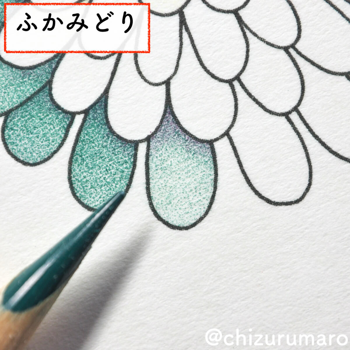 f:id:chizurumaro:20200430150458j:plain f:id:chizurumaro:20200430150458j:plain