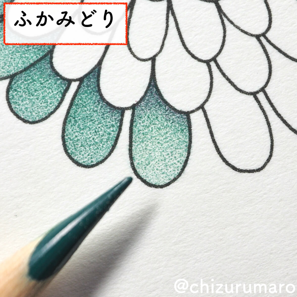 f:id:chizurumaro:20200430150513j:plain f:id:chizurumaro:20200430150513j:plain
