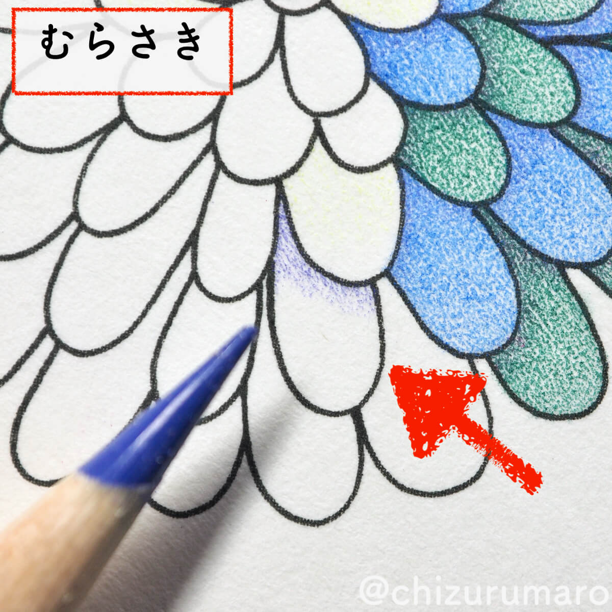 f:id:chizurumaro:20200430150559j:plain f:id:chizurumaro:20200430150559j:plain