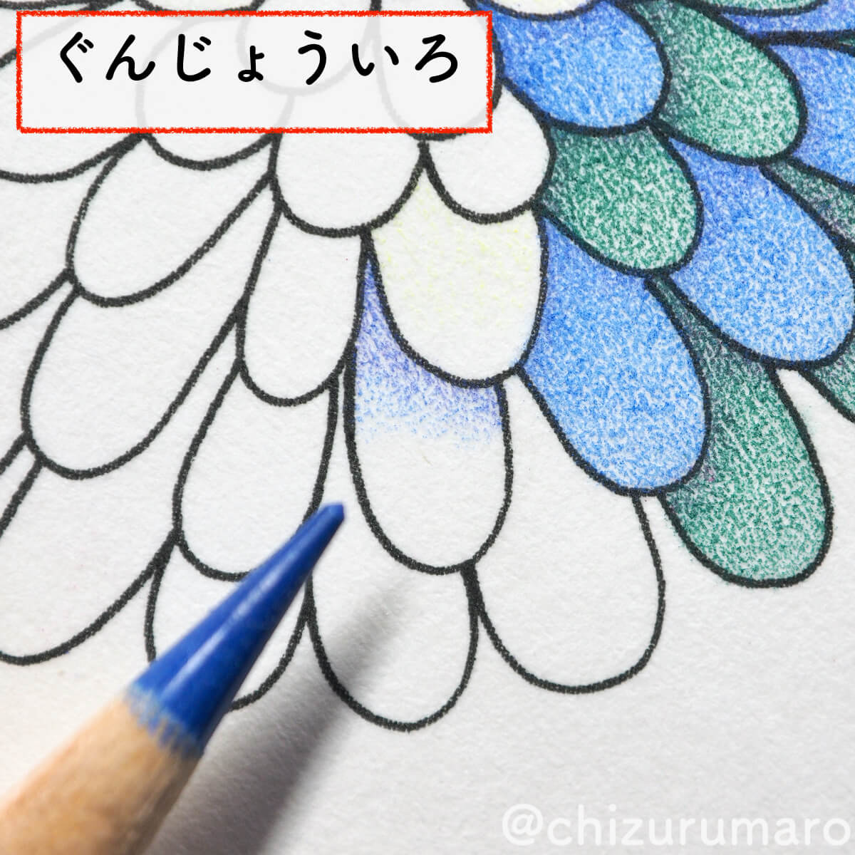 f:id:chizurumaro:20200430151101j:plain f:id:chizurumaro:20200430151101j:plain