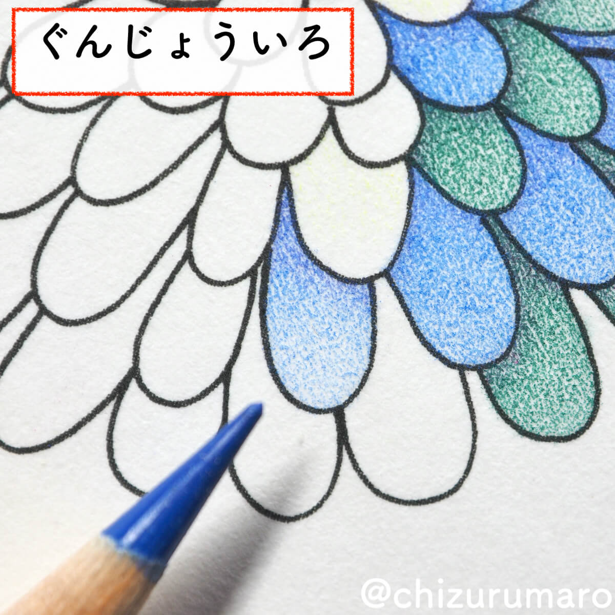 f:id:chizurumaro:20200430151129j:plain f:id:chizurumaro:20200430151129j:plain
