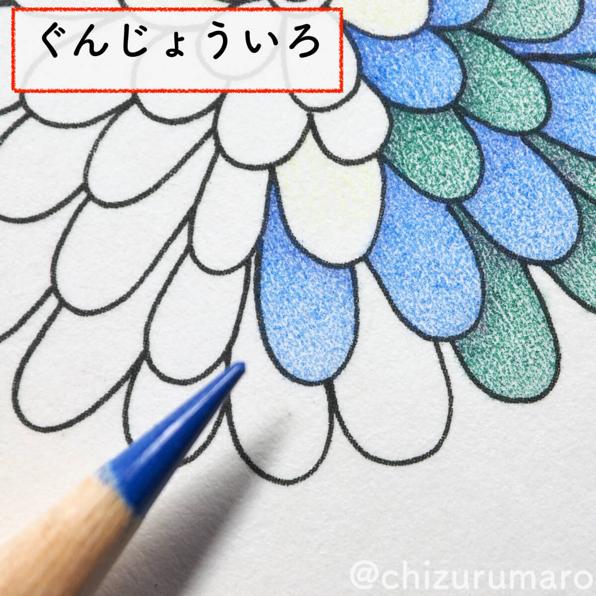 f:id:chizurumaro:20200430151143j:plain f:id:chizurumaro:20200430151143j:plain