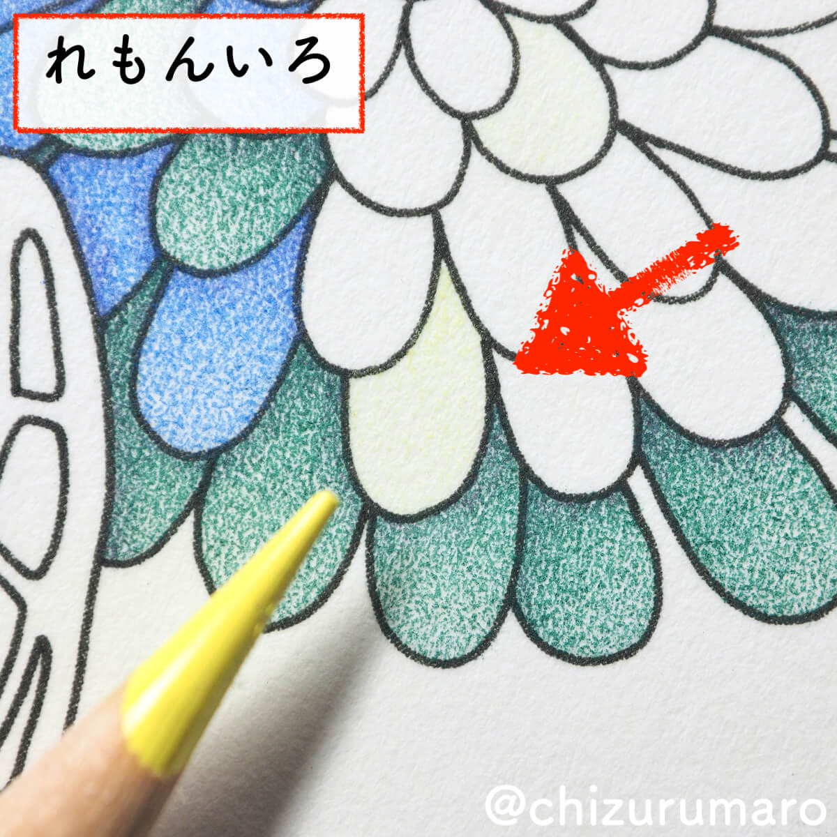 f:id:chizurumaro:20200430151240j:plain f:id:chizurumaro:20200430151240j:plain