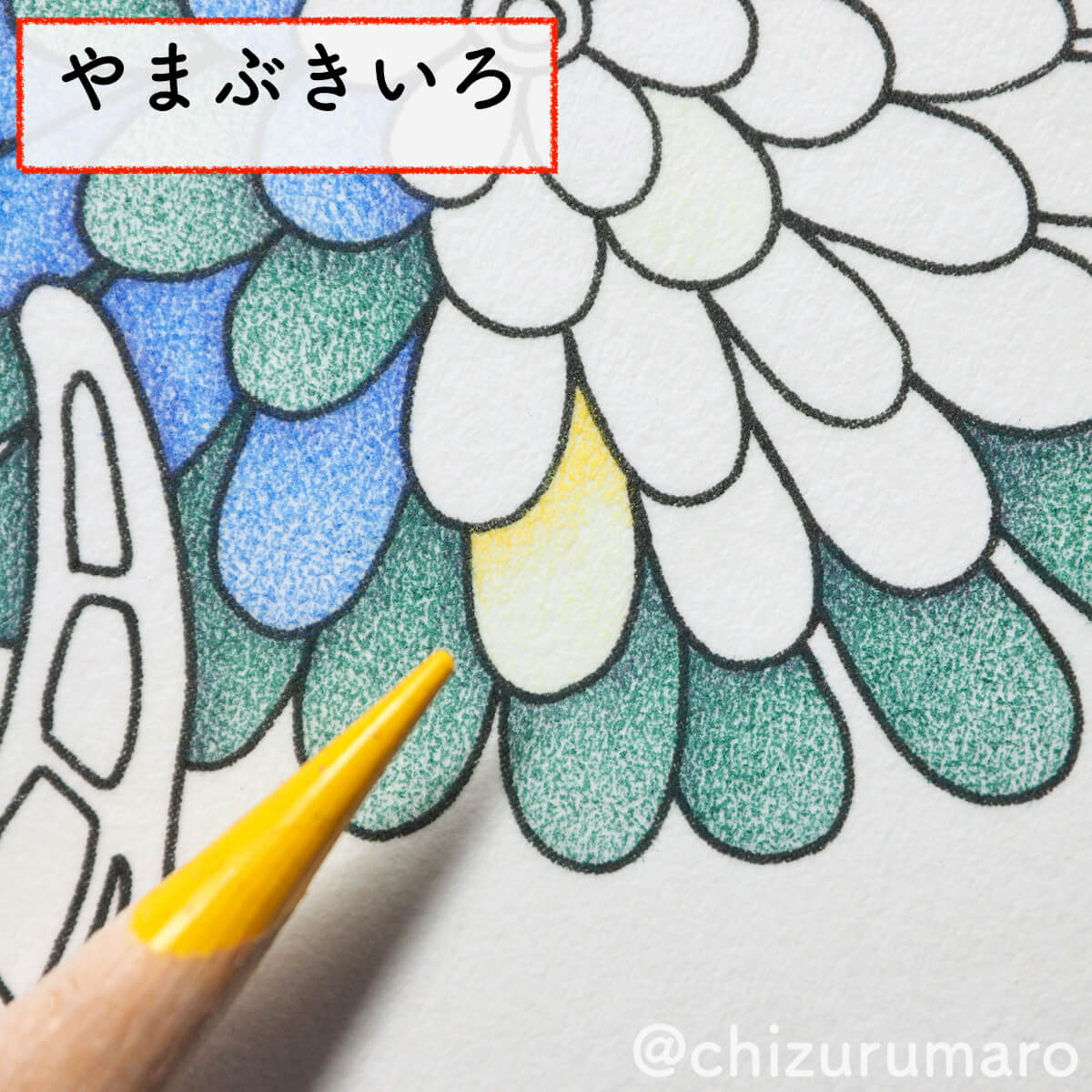 f:id:chizurumaro:20200430151252j:plain f:id:chizurumaro:20200430151252j:plain