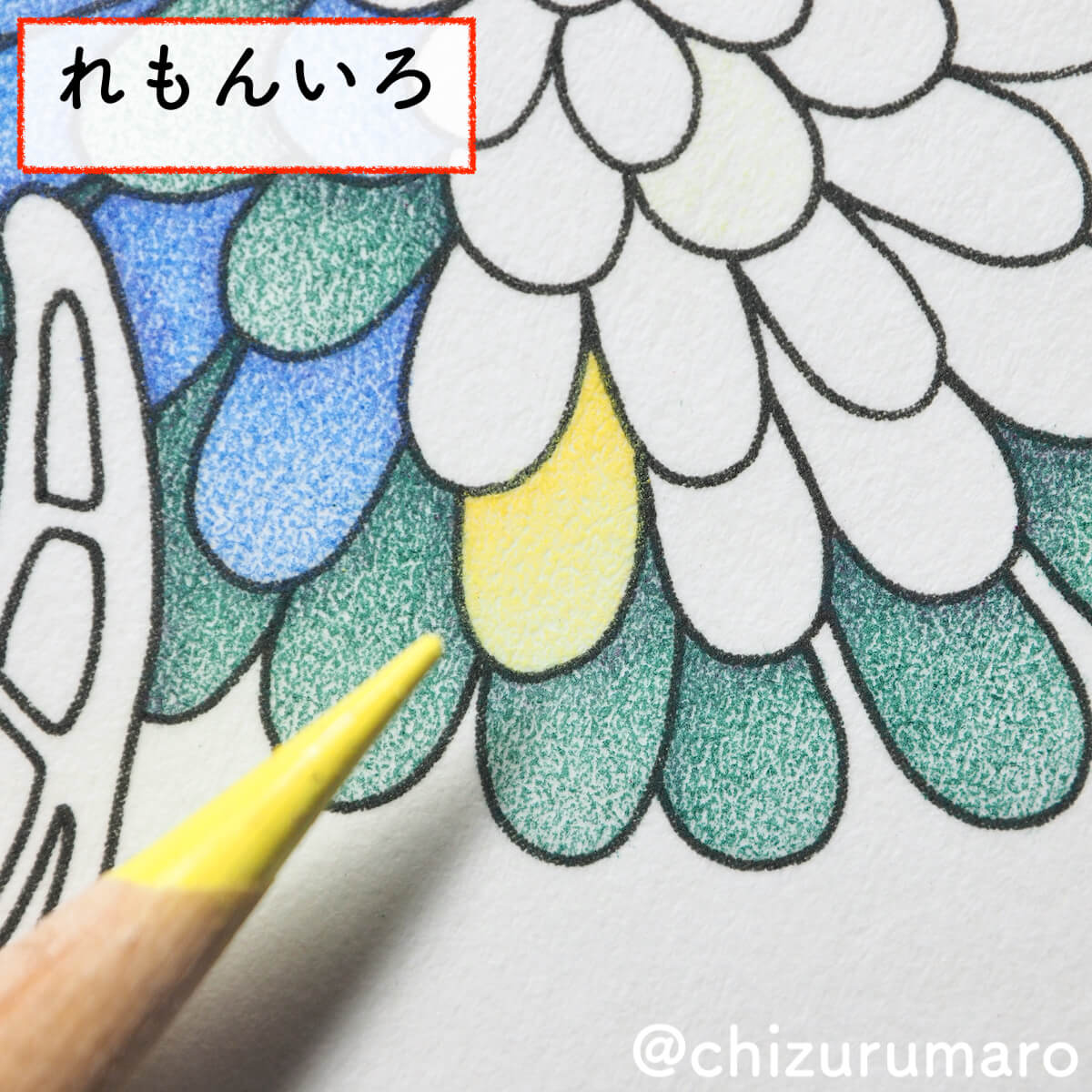 f:id:chizurumaro:20200430151306j:plain f:id:chizurumaro:20200430151306j:plain