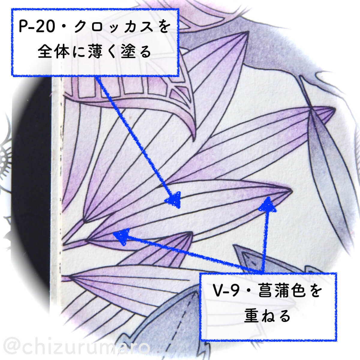 f:id:chizurumaro:20200513133411j:plain