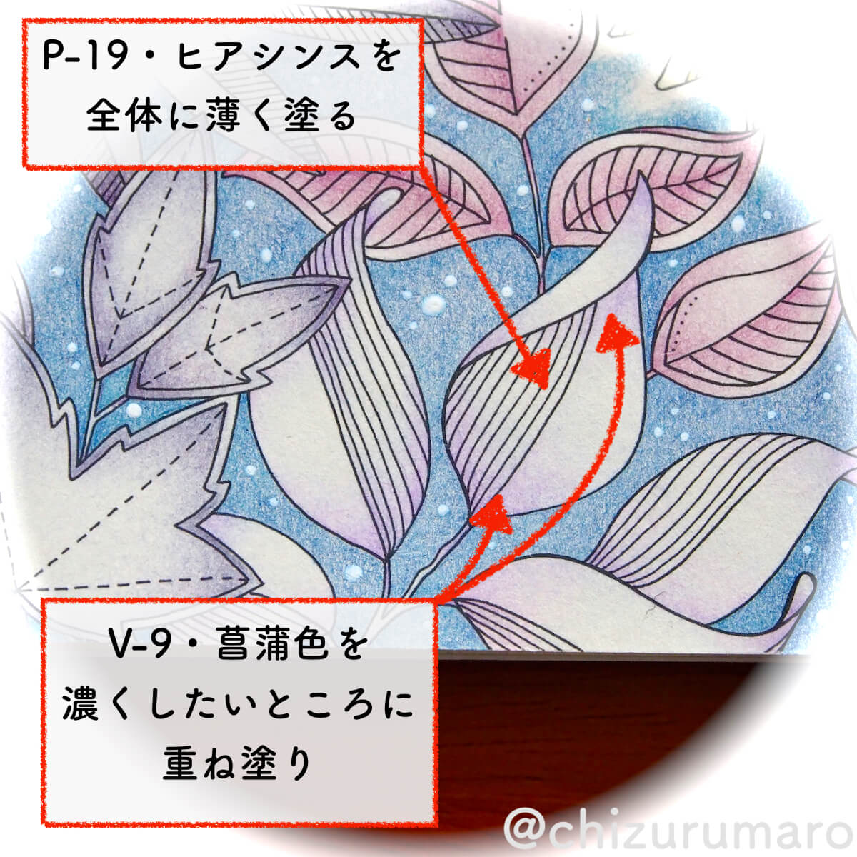 f:id:chizurumaro:20200513133518j:plain
