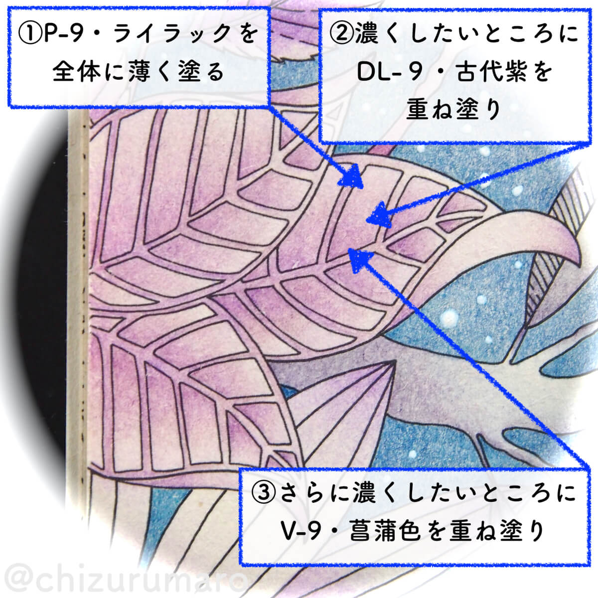f:id:chizurumaro:20200513133636j:plain