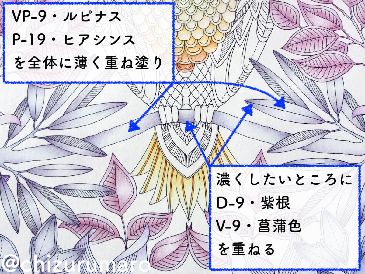 f:id:chizurumaro:20200513133710j:plain