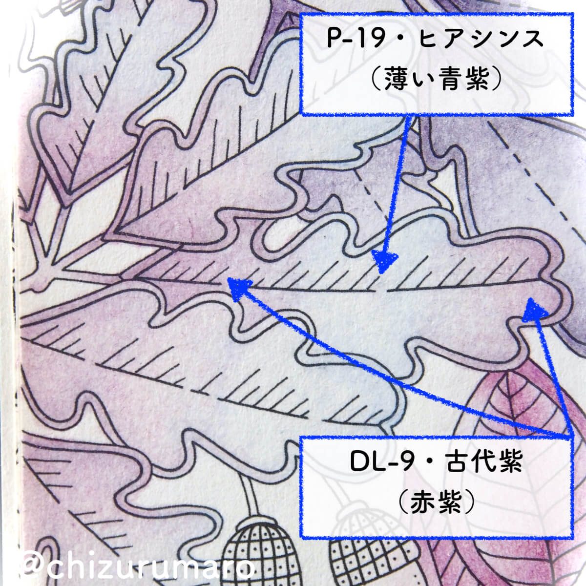 f:id:chizurumaro:20200513133801j:plain