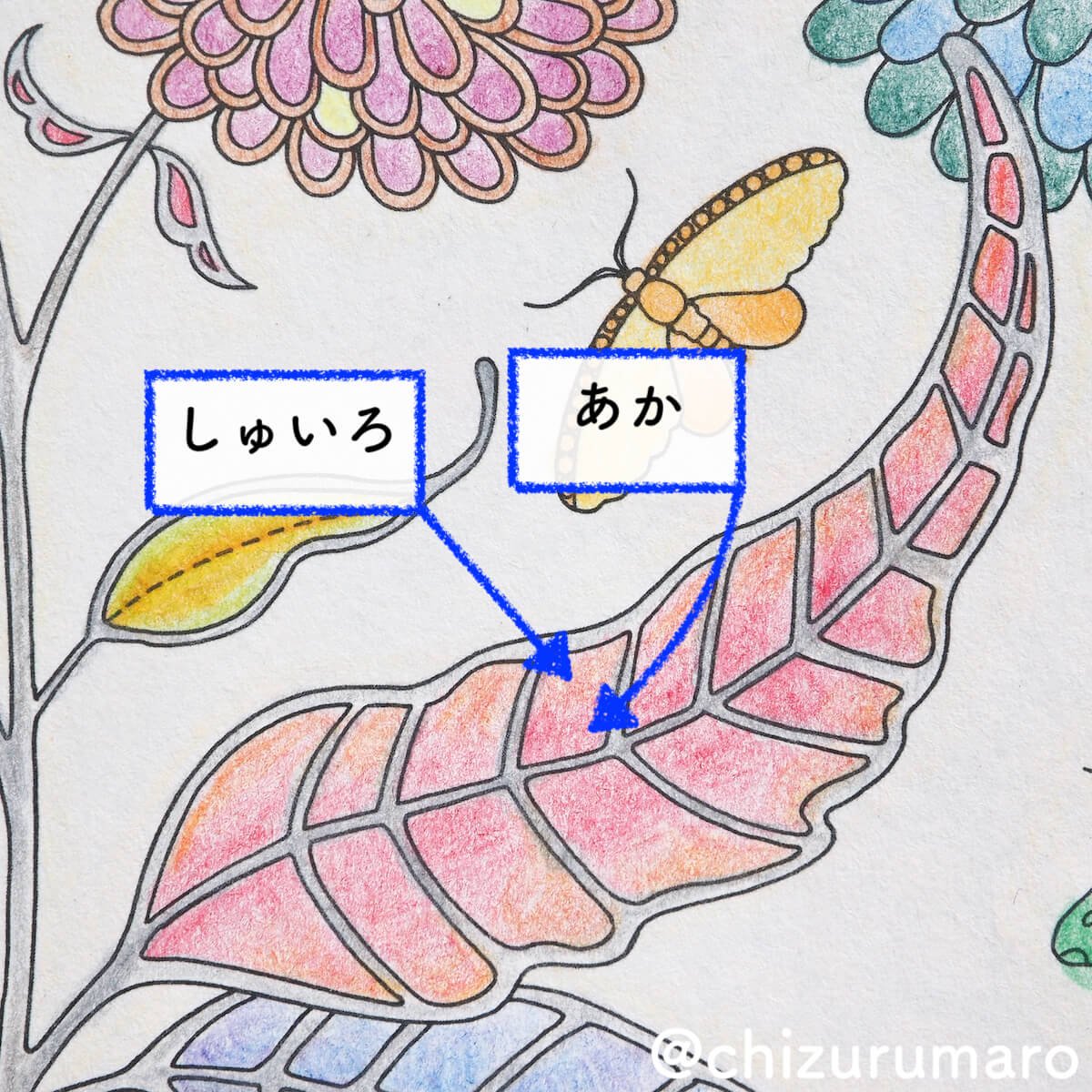 f:id:chizurumaro:20200603121040j:plain f:id:chizurumaro:20200603121040j:plain