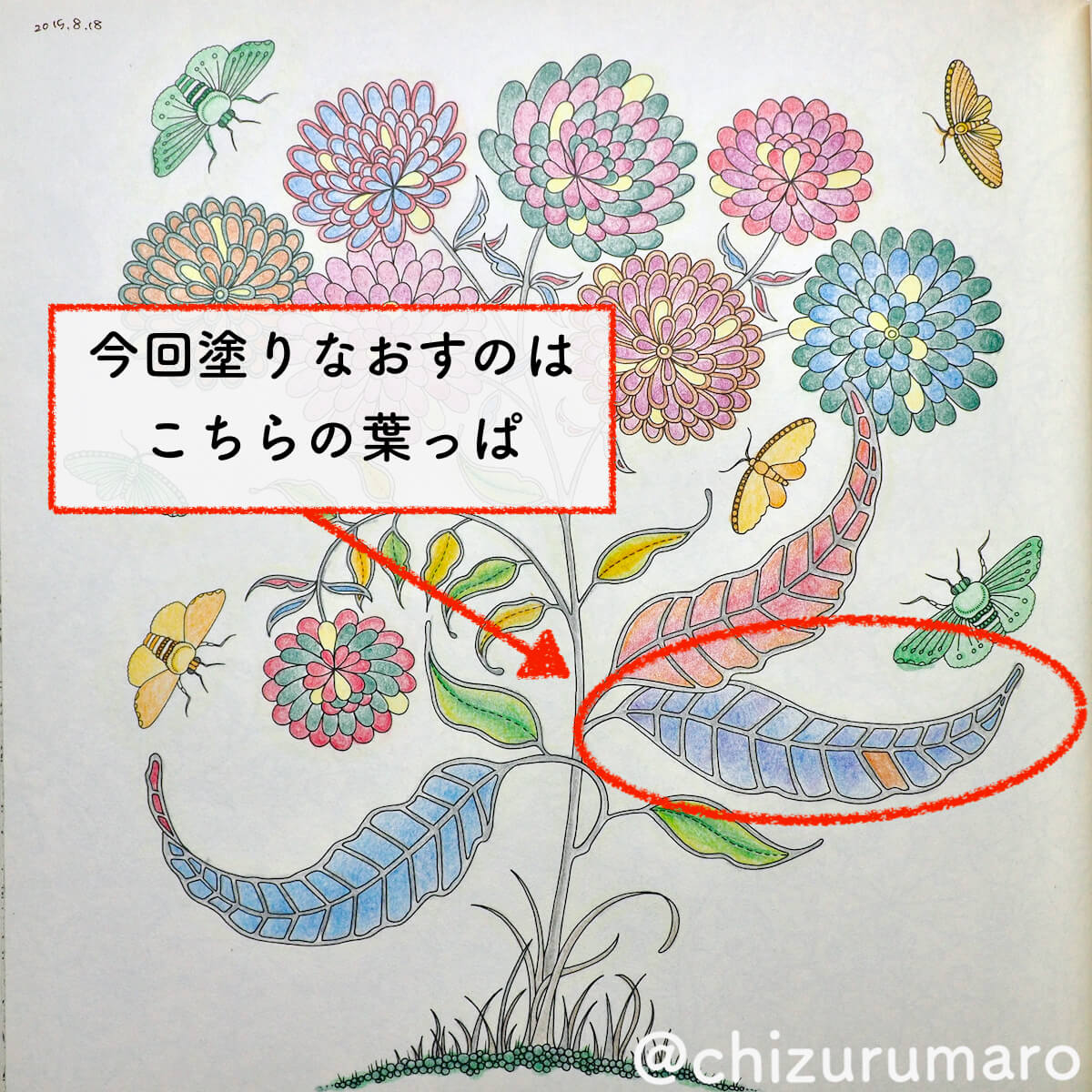 f:id:chizurumaro:20200609121815j:plain