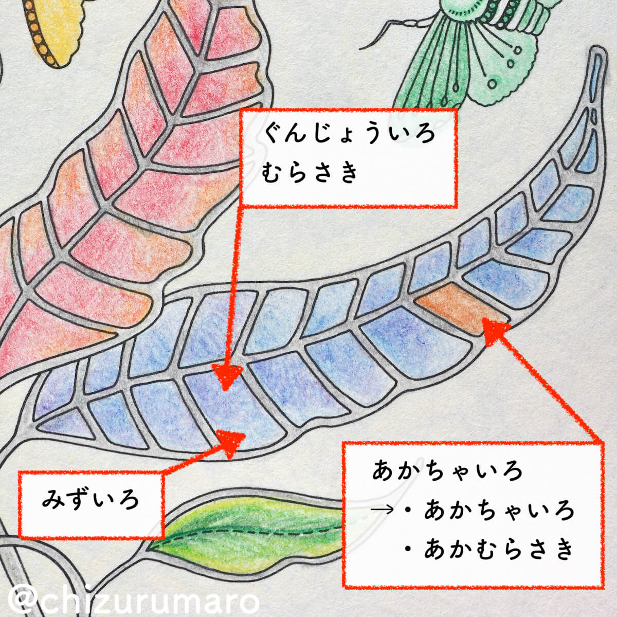 f:id:chizurumaro:20200609121946j:plain