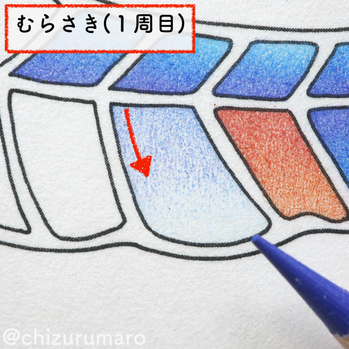 f:id:chizurumaro:20200609141727j:plain