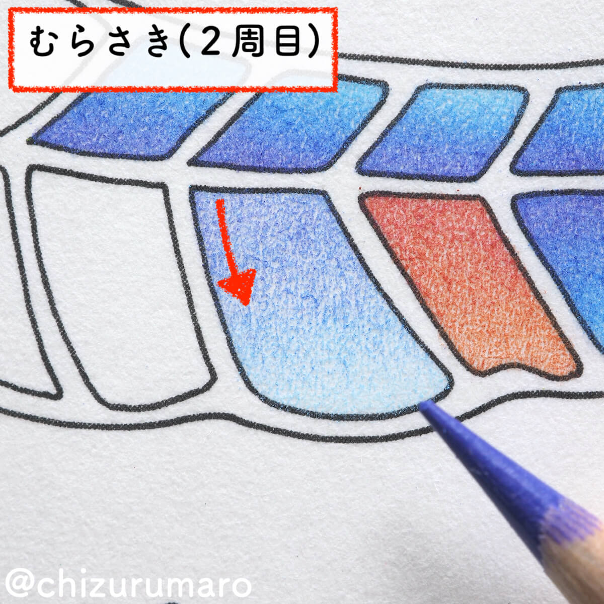 f:id:chizurumaro:20200609142143j:plain