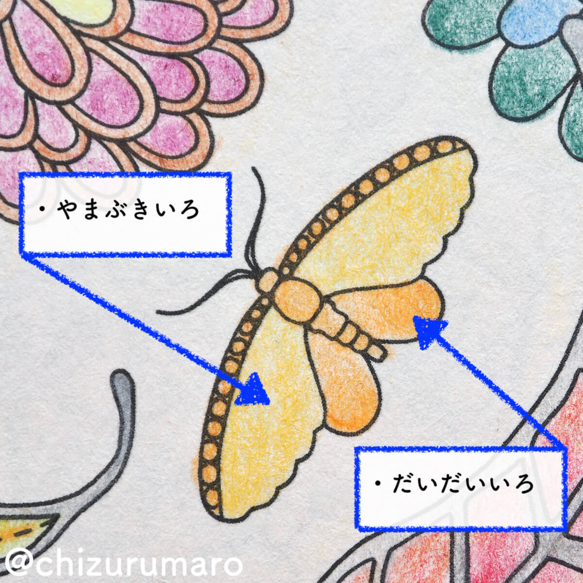 f:id:chizurumaro:20200717220516j:plain f:id:chizurumaro:20200717220516j:plain