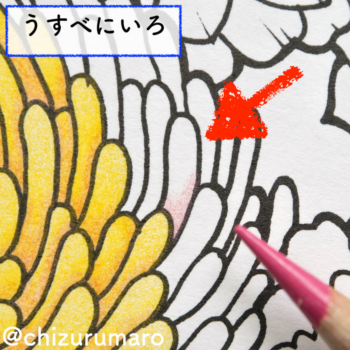 f:id:chizurumaro:20200930151646j:plain f:id:chizurumaro:20200930151646j:plain