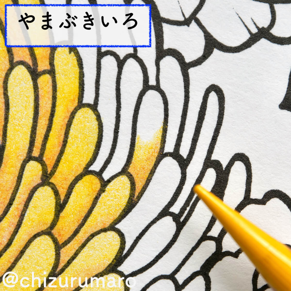 f:id:chizurumaro:20200930151659j:plain f:id:chizurumaro:20200930151659j:plain