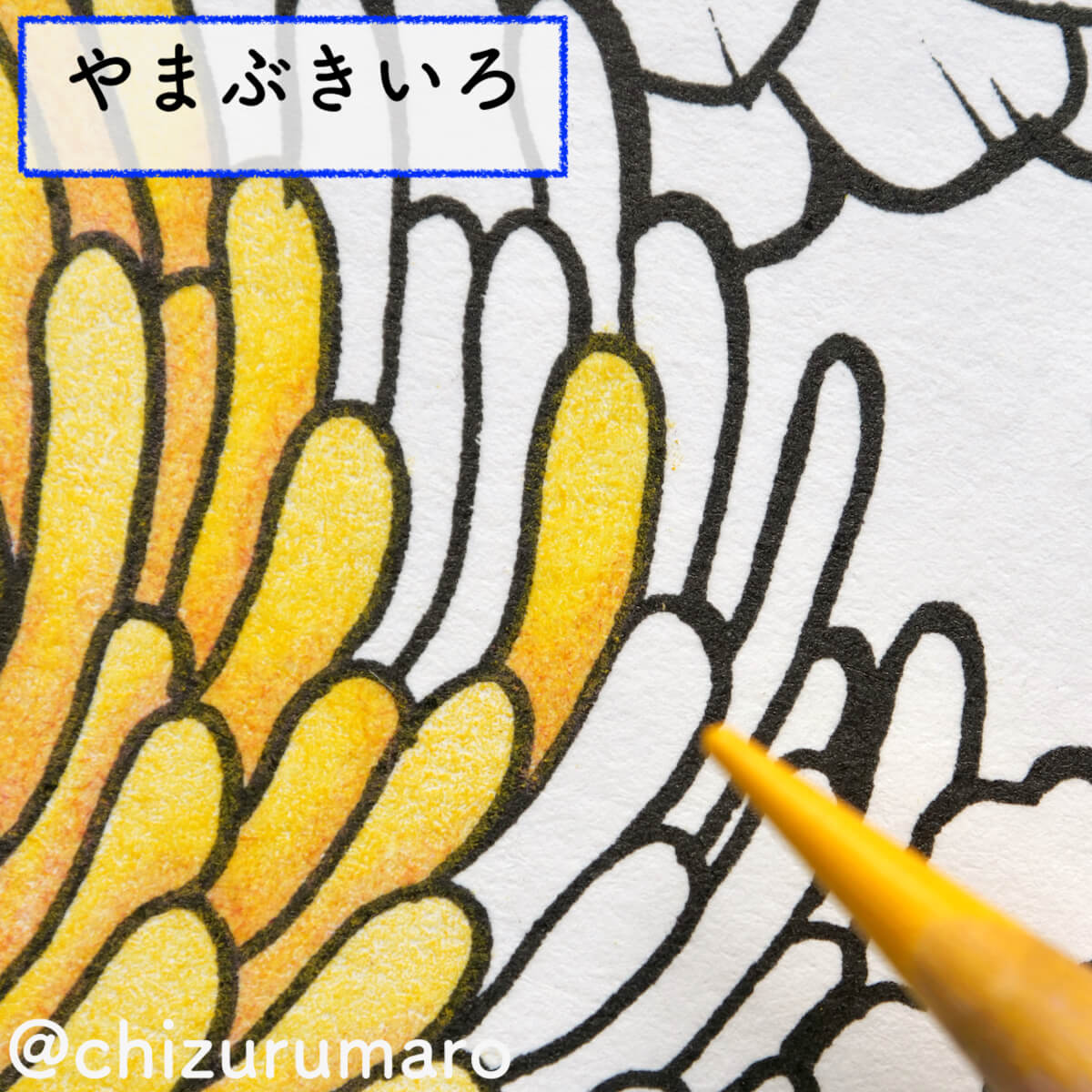 f:id:chizurumaro:20200930151720j:plain f:id:chizurumaro:20200930151720j:plain