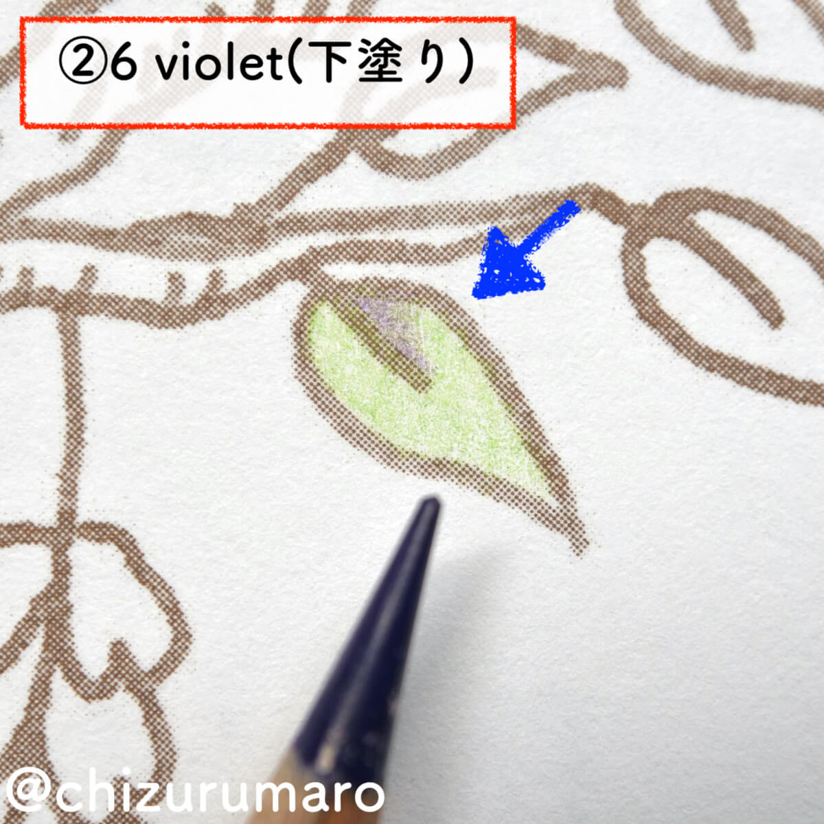 f:id:chizurumaro:20201105212406j:plain f:id:chizurumaro:20201105212406j:plain