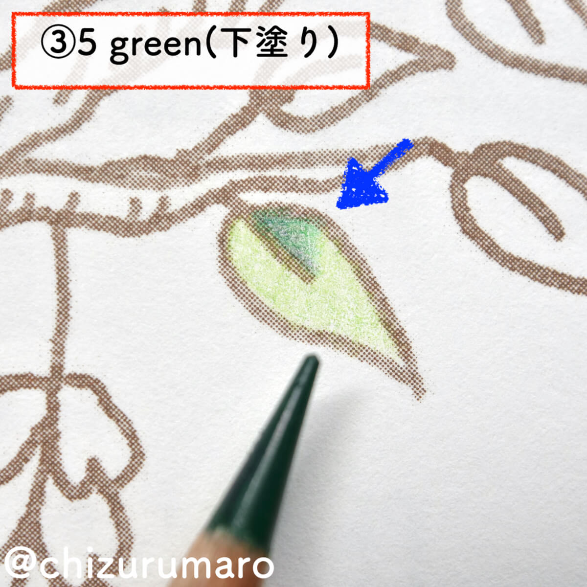 f:id:chizurumaro:20201105212521j:plain f:id:chizurumaro:20201105212521j:plain
