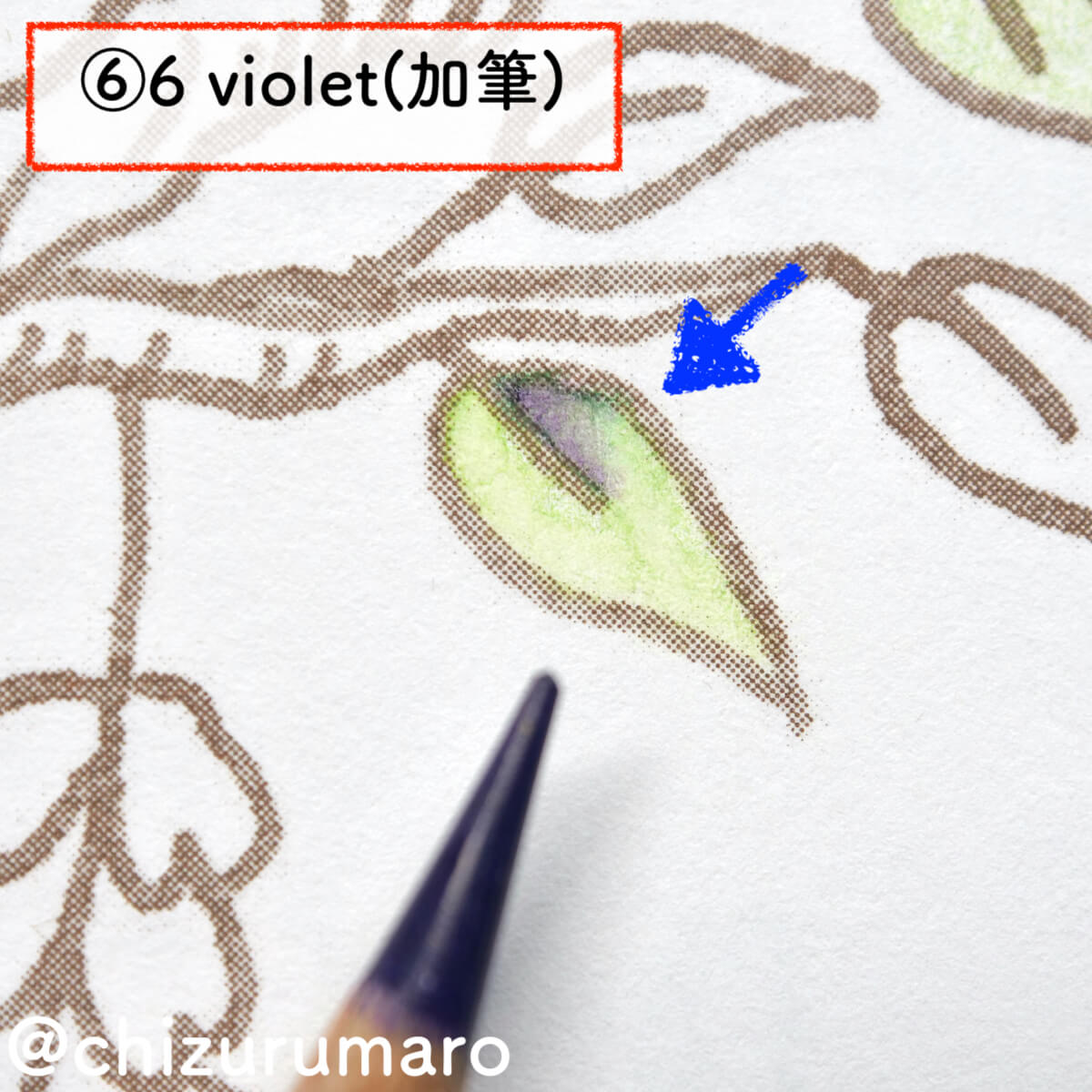 f:id:chizurumaro:20201105213254j:plain f:id:chizurumaro:20201105213254j:plain