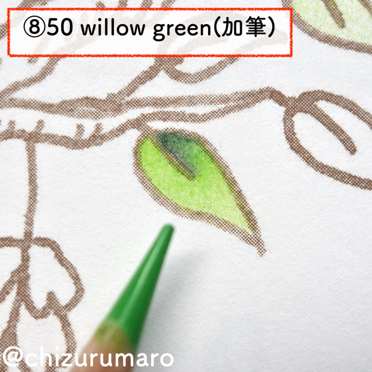 f:id:chizurumaro:20201105213437j:plain f:id:chizurumaro:20201105213437j:plain