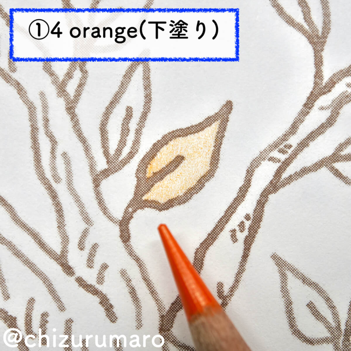 f:id:chizurumaro:20201111200330j:plain