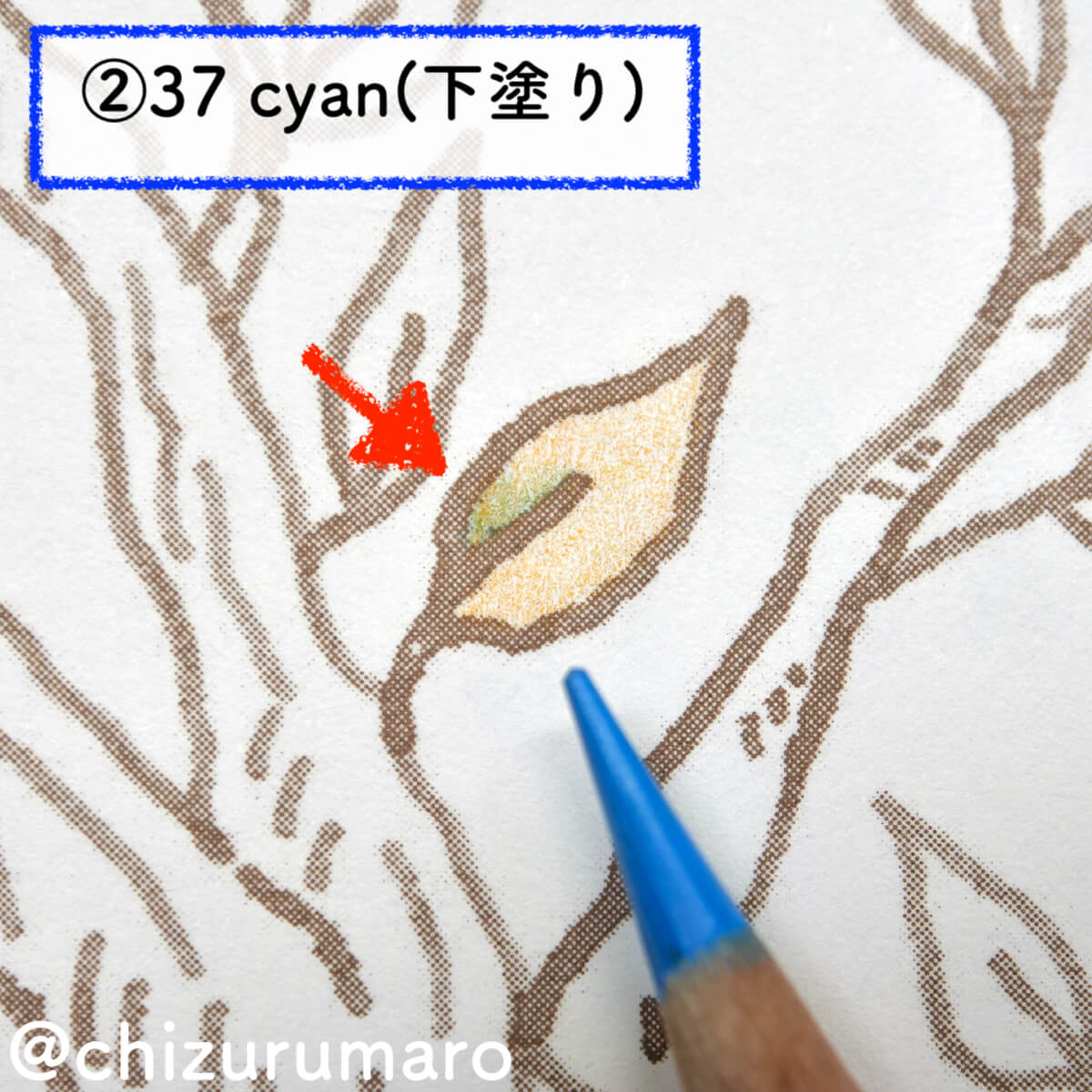f:id:chizurumaro:20201111200403j:plain