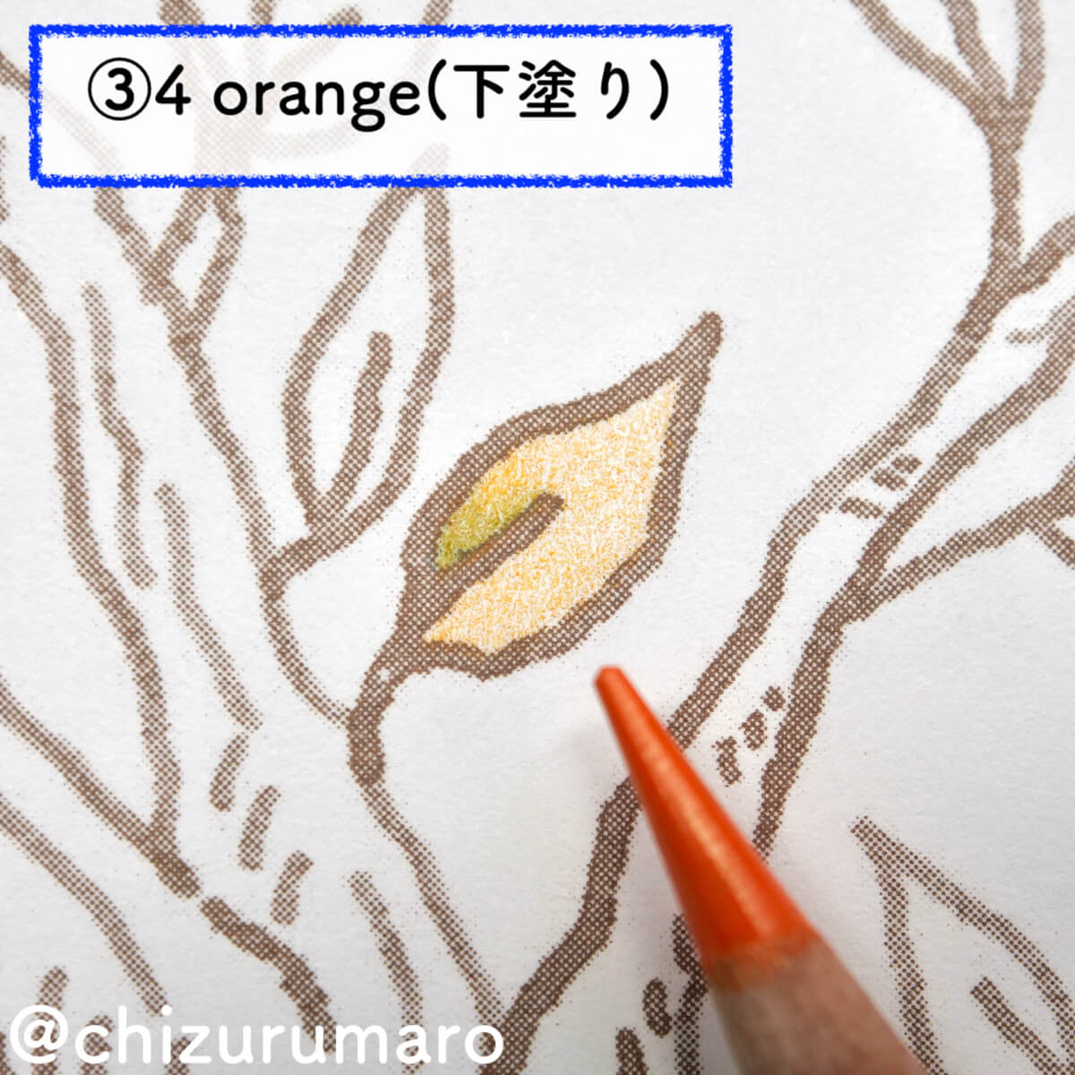 f:id:chizurumaro:20201111200416j:plain