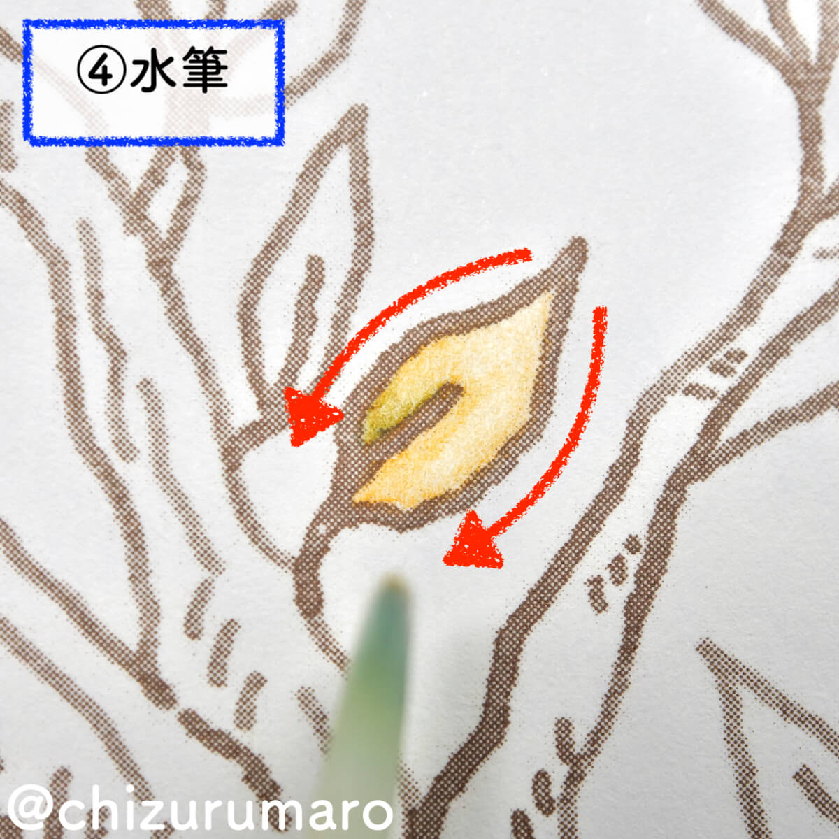 f:id:chizurumaro:20201111200455j:plain