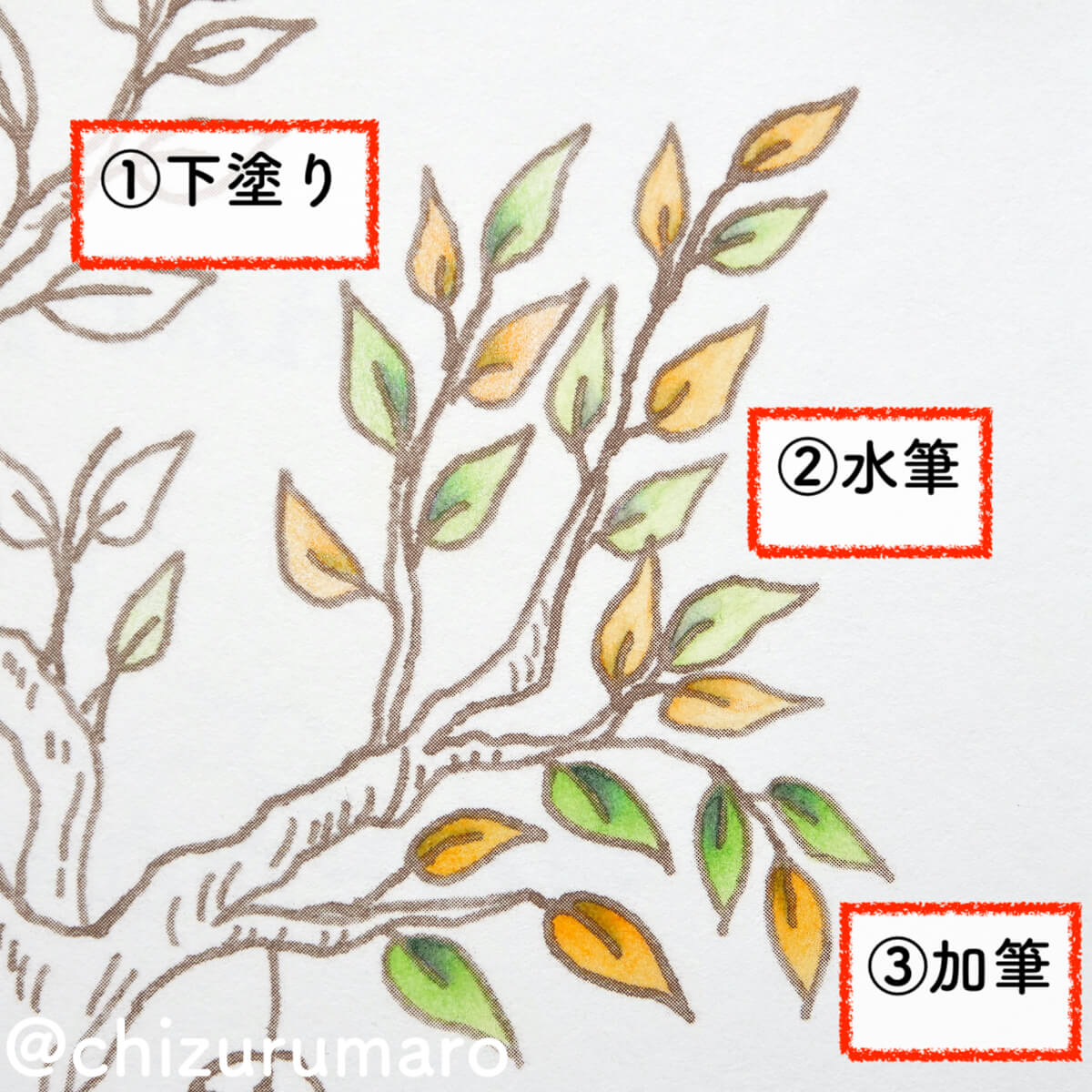 f:id:chizurumaro:20201111201526j:plain