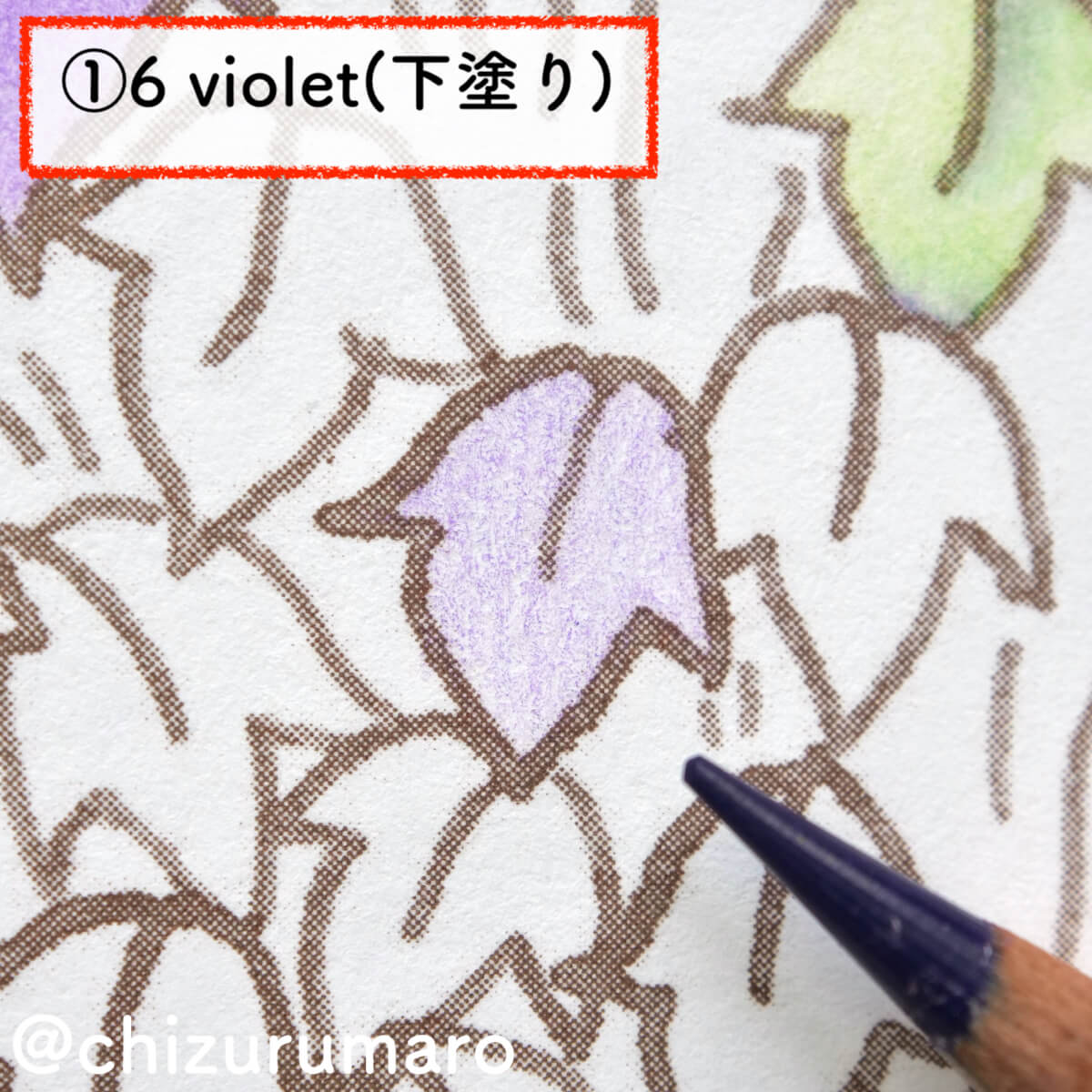 f:id:chizurumaro:20201119164225j:plain