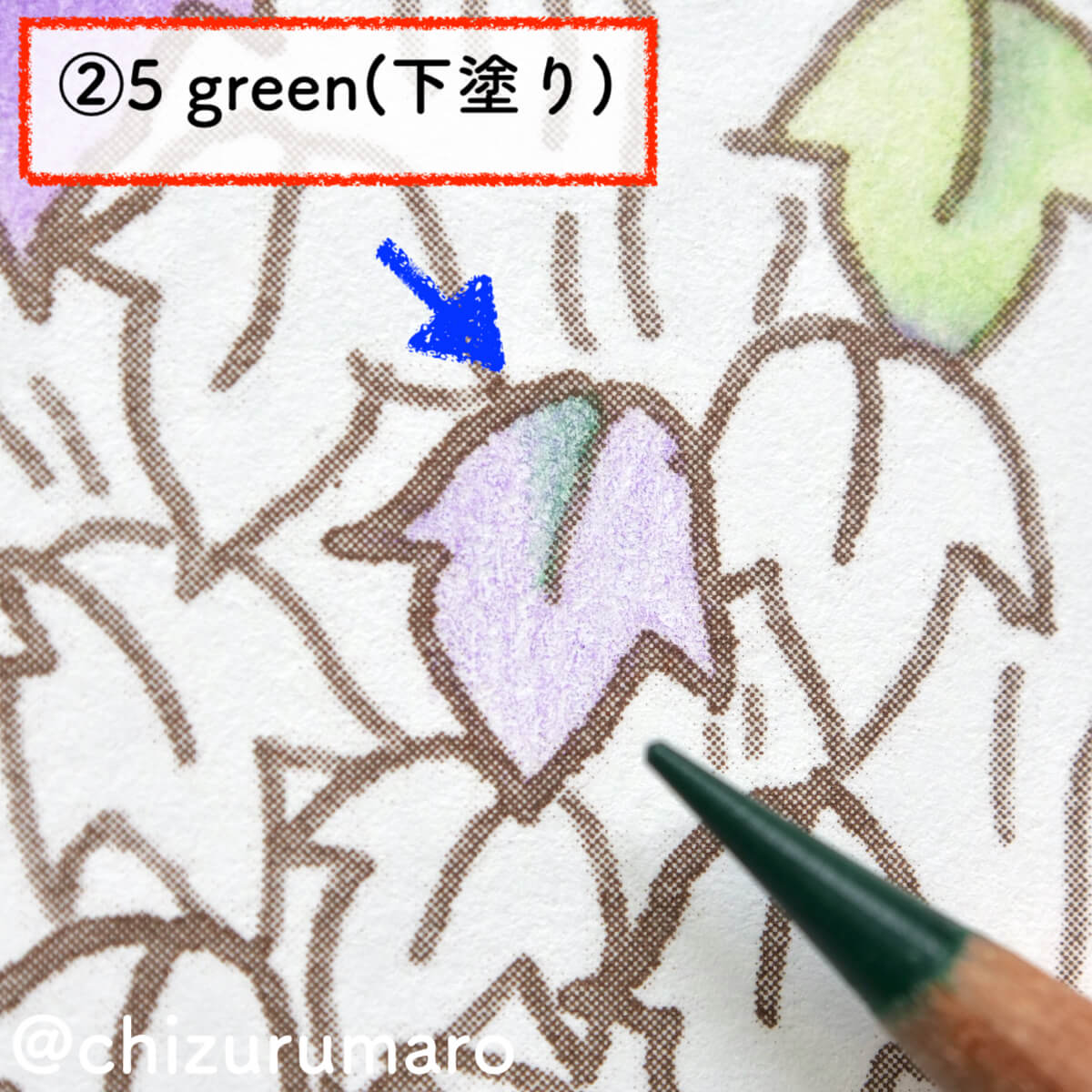 f:id:chizurumaro:20201119164805j:plain