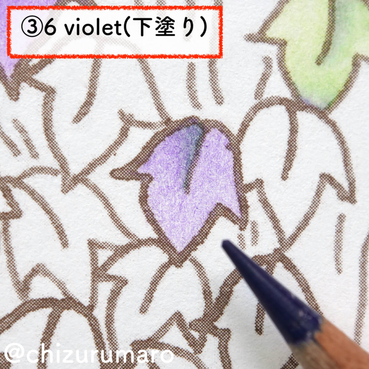 f:id:chizurumaro:20201119164835j:plain