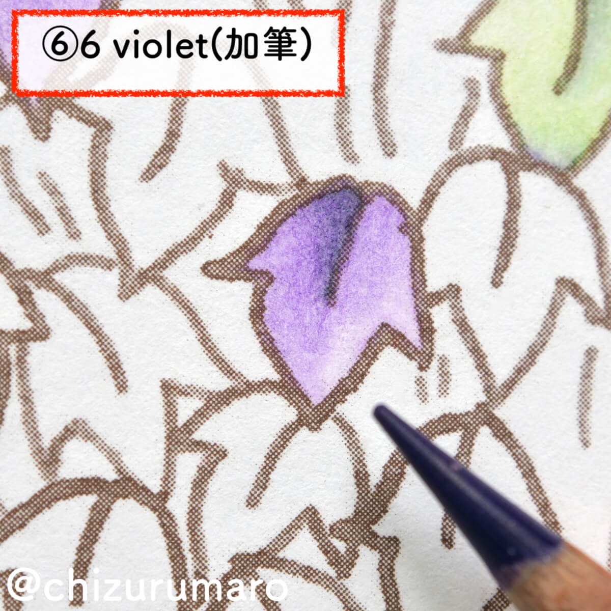 f:id:chizurumaro:20201119165345j:plain