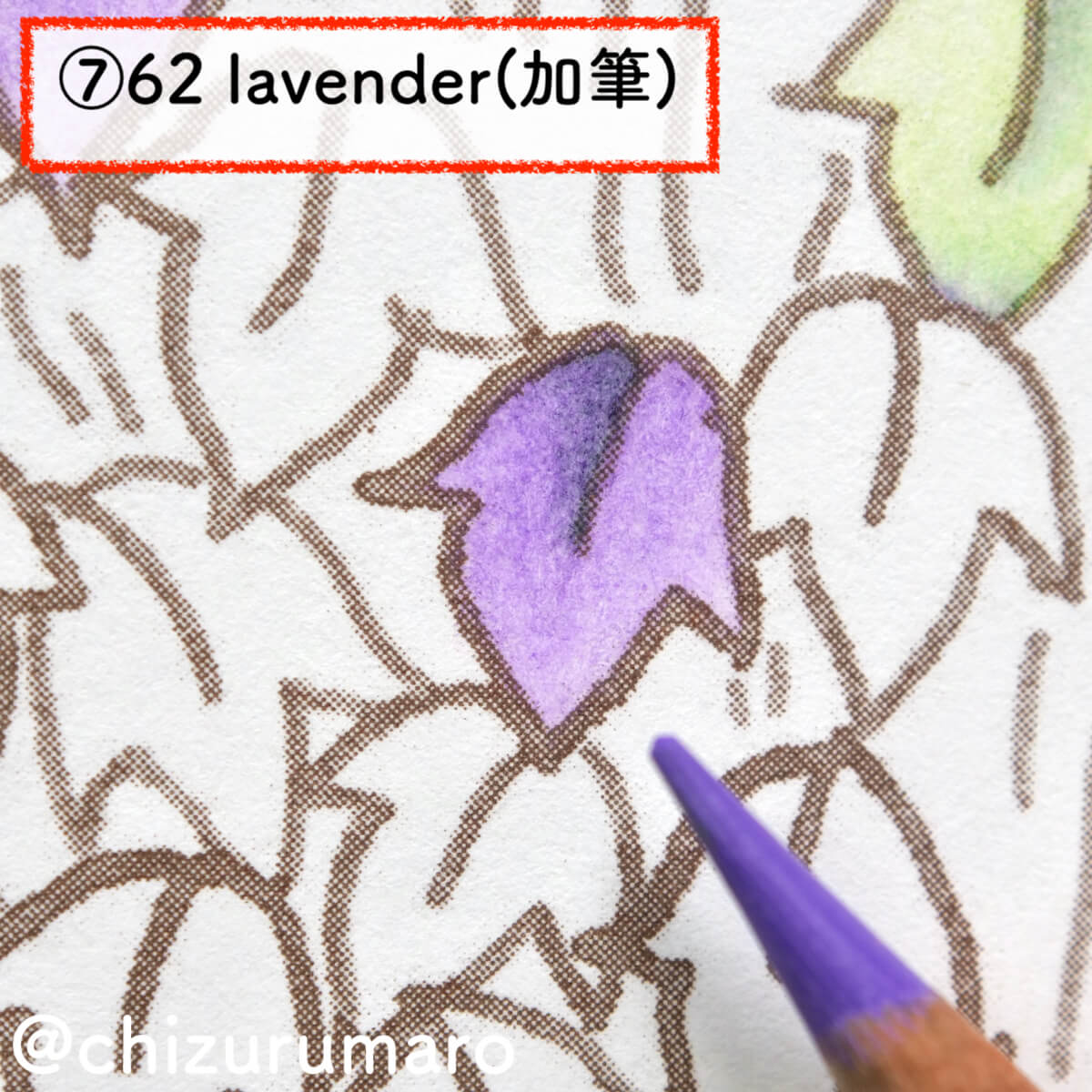 f:id:chizurumaro:20201119165439j:plain