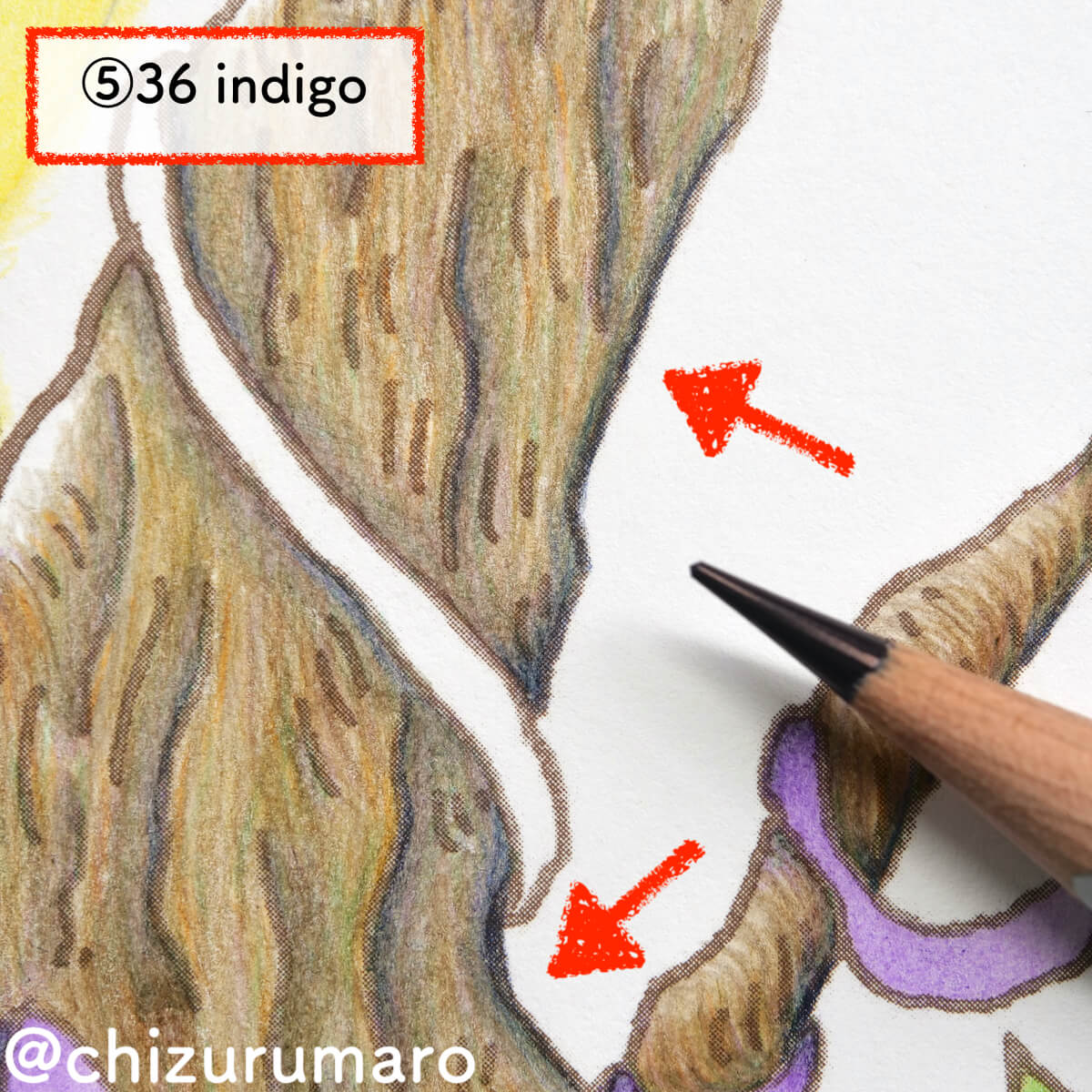 水彩色鉛筆で木目を描きながら木を塗ってみた ハロウィン風塗り絵 ちづるのもっと ぬりえライフ