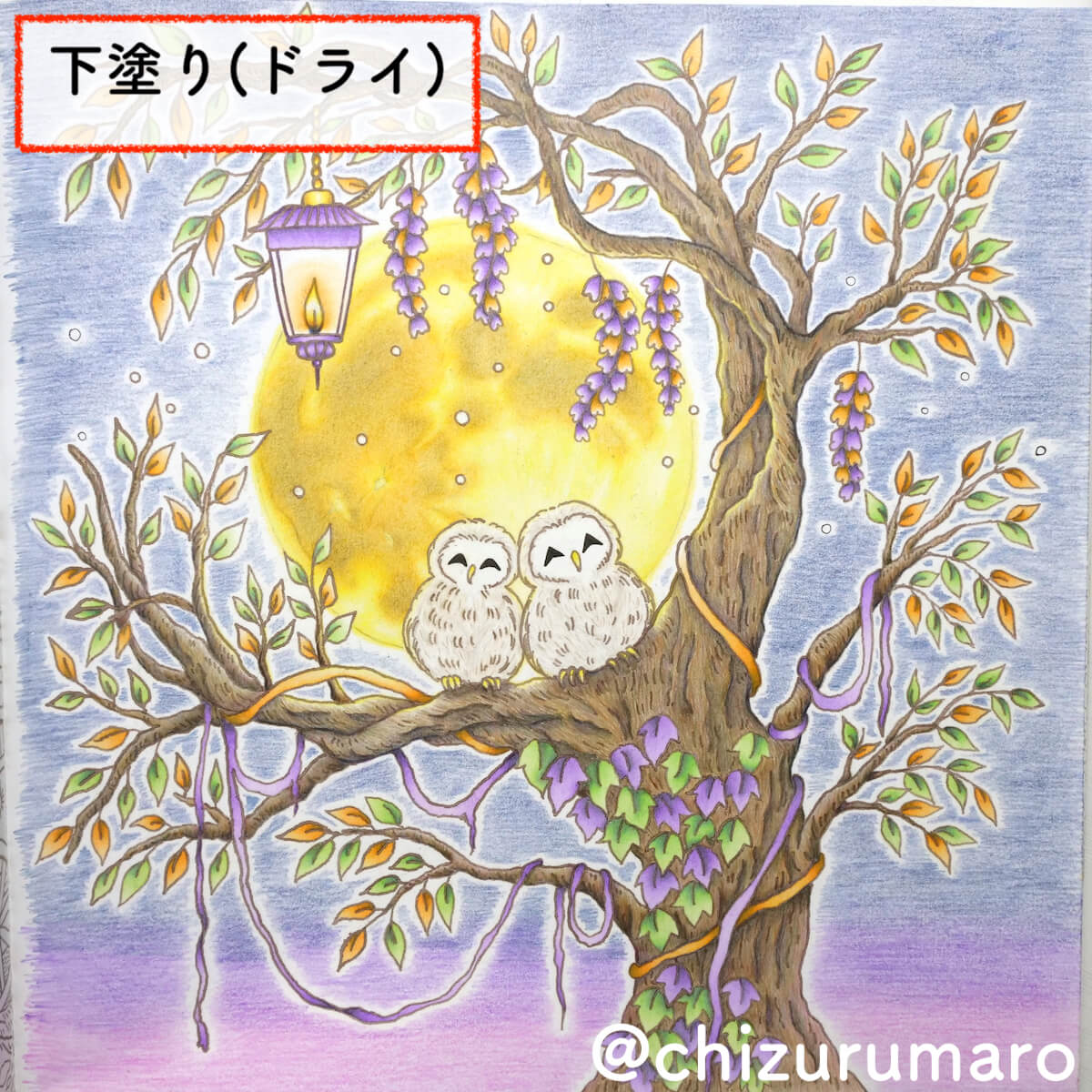 f:id:chizurumaro:20201208161057j:plain