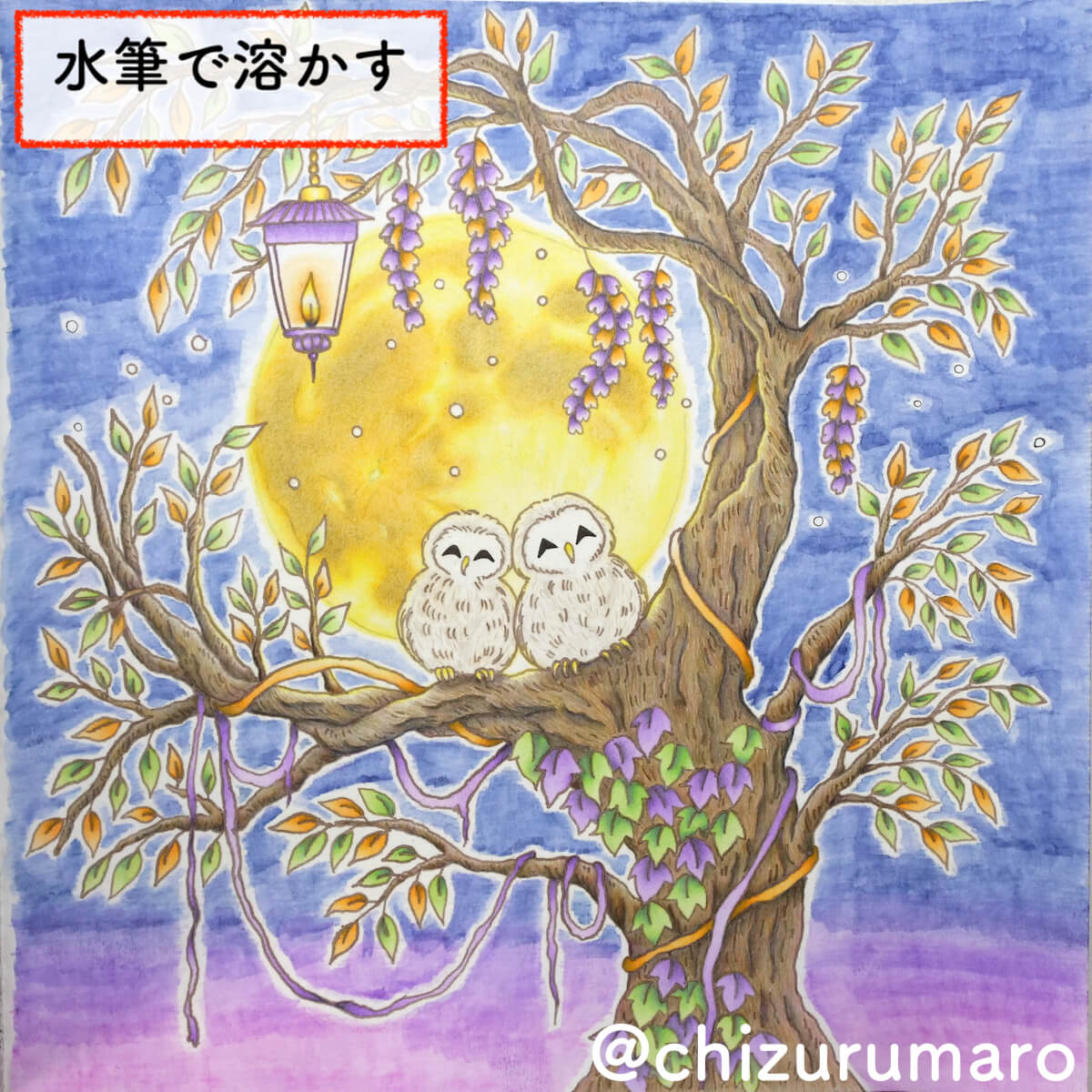 f:id:chizurumaro:20201208161507j:plain