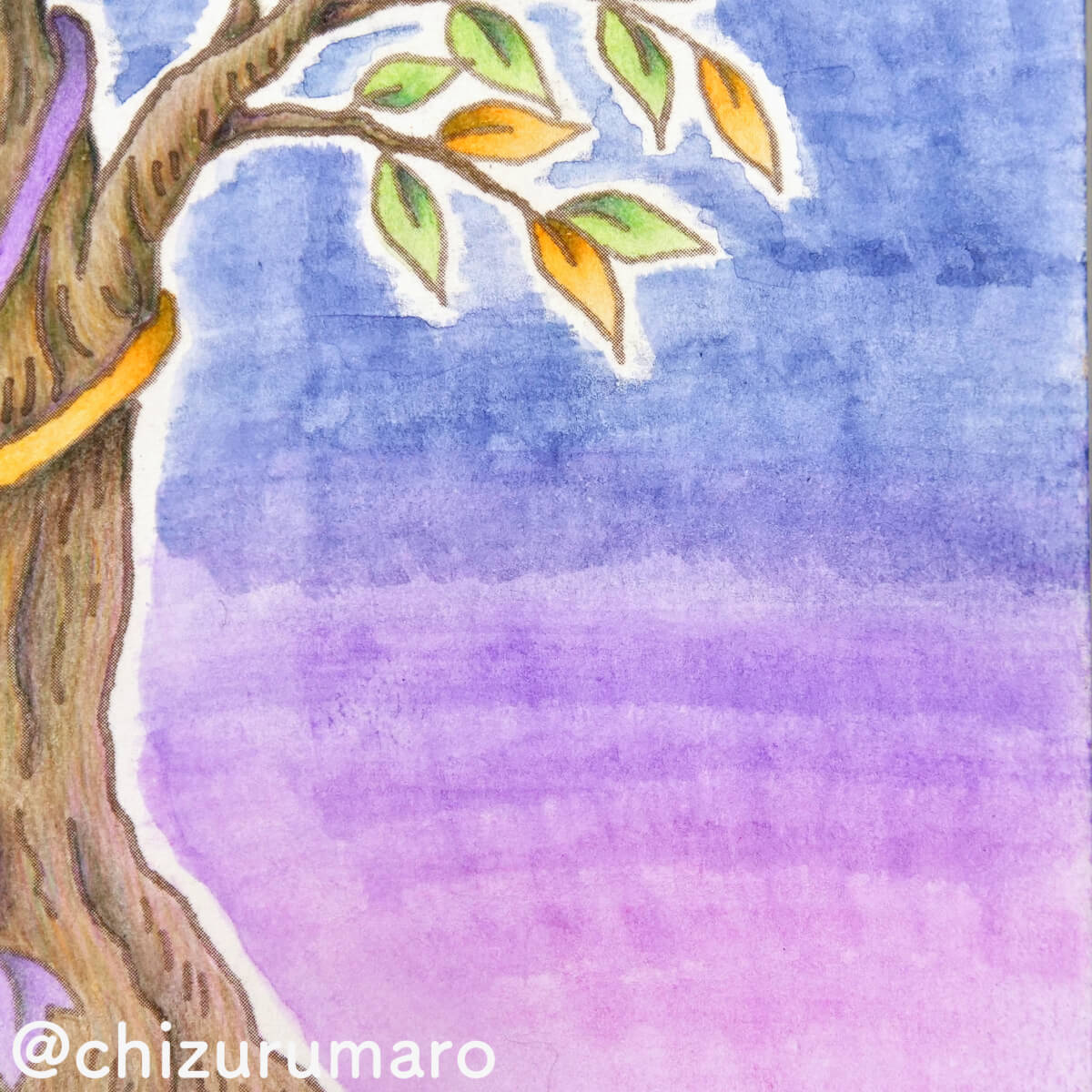 f:id:chizurumaro:20201208161950j:plain